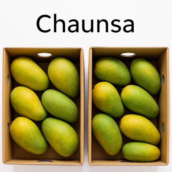chaunsa